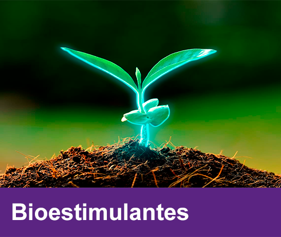 bioestimulantes