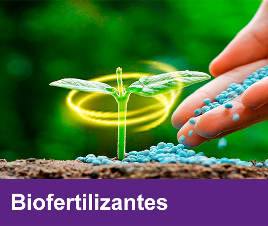 biofertilizantes