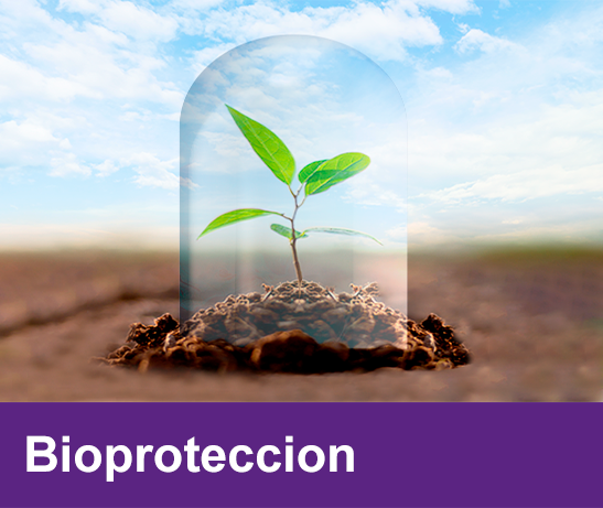 bioproteccion