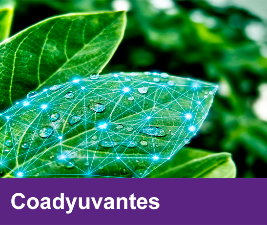 coadyuvantes