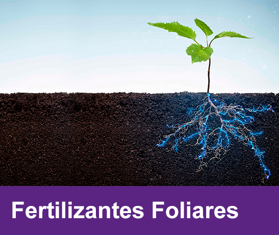 fertilizantes foliares