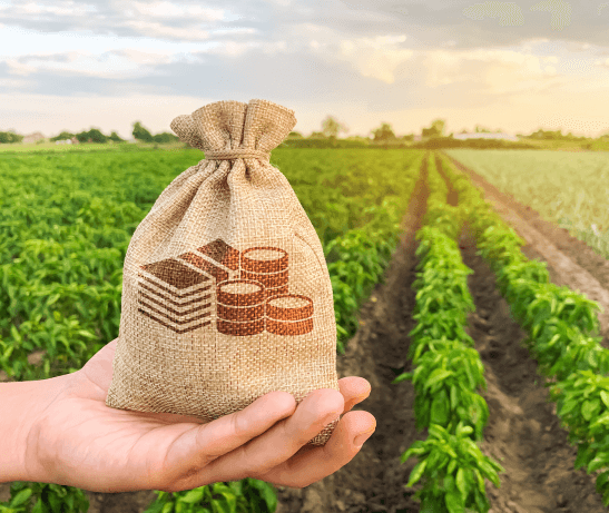 Sector agropecuario crecería solo 0,4% en 2023