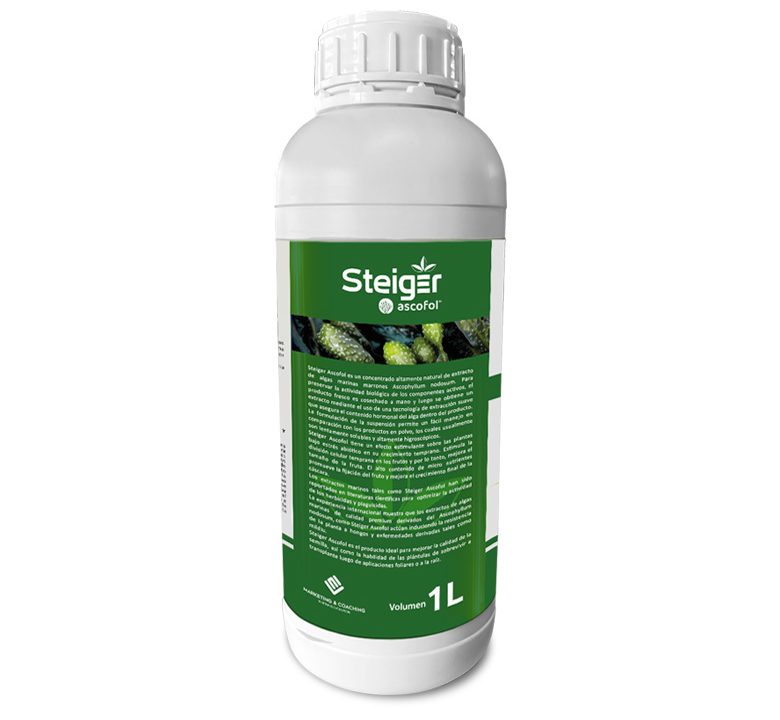 Steiger Ascofol