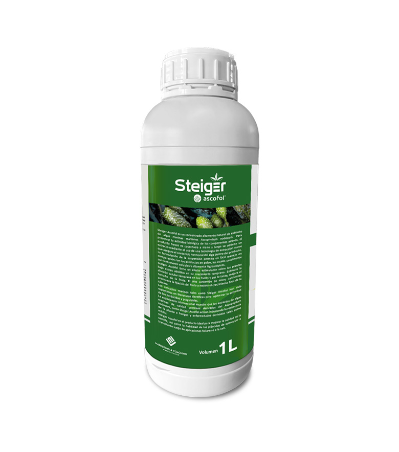 Steiger Ascofol