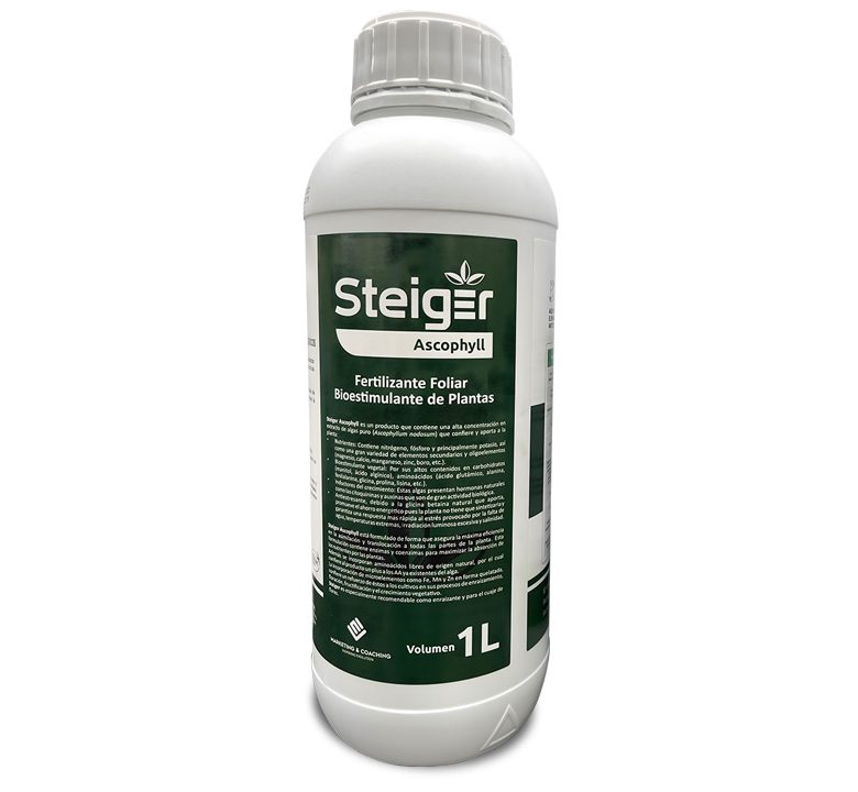 Steiger Ascophyll