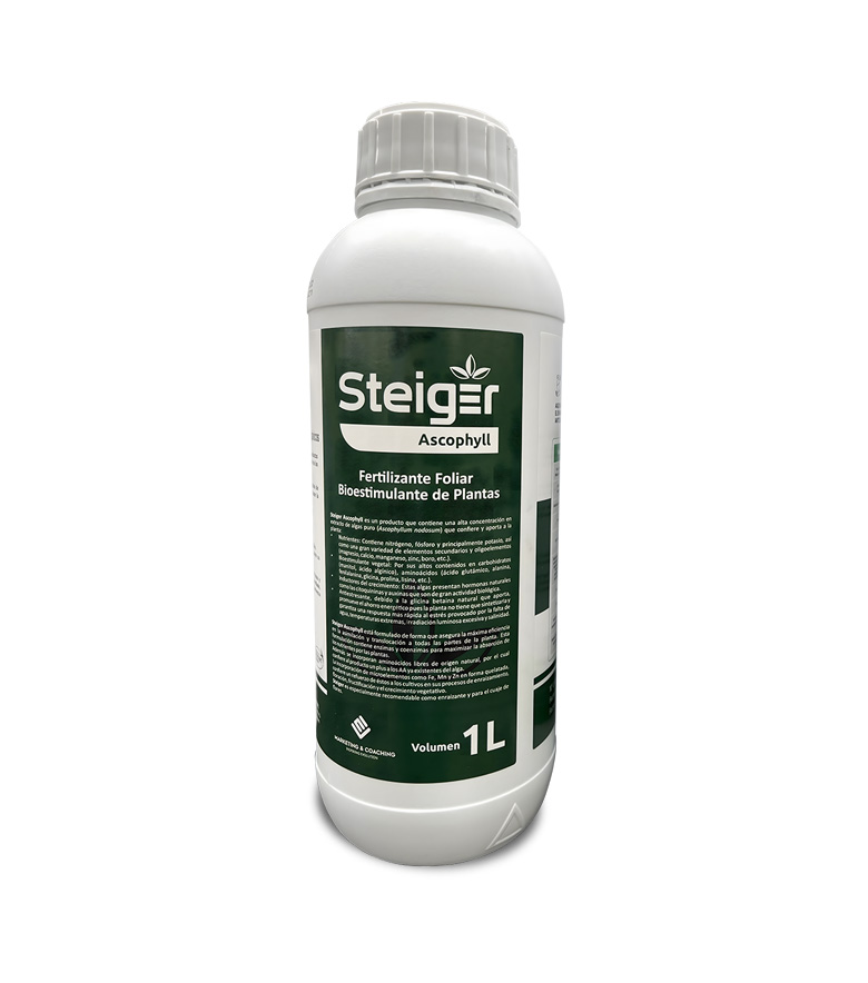 Steiger Ascophyll