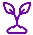 Bioestimulantes