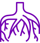 Bioestimulantes