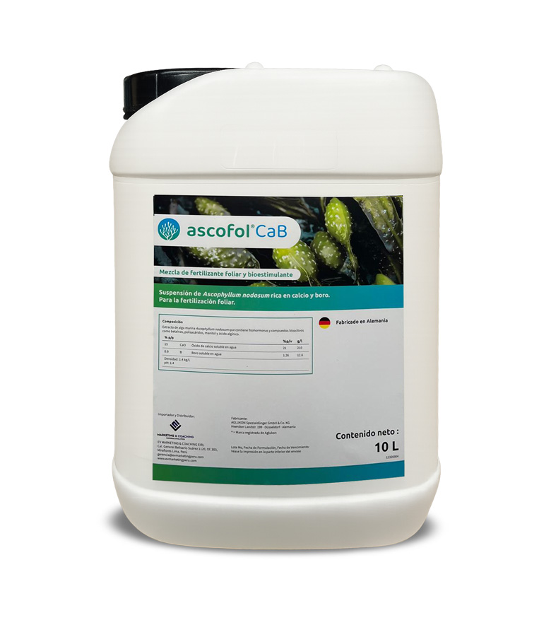 ascofol CAB